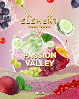 Element V - Passion Valley (Элемент Огуречный Лимонад,Смородина,Маракуйя,Виноград) 25гр.