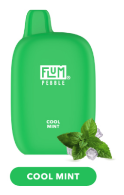 FLUM PEBBLE 6000 - Cool Mint 20 mg